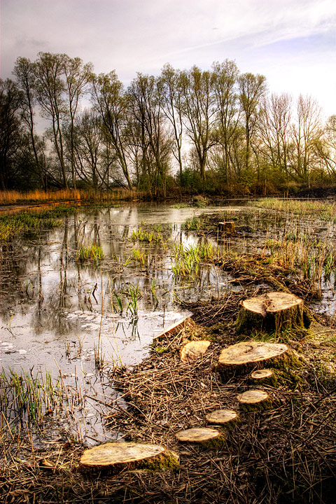 tetney-blow-wells-001.jpg
