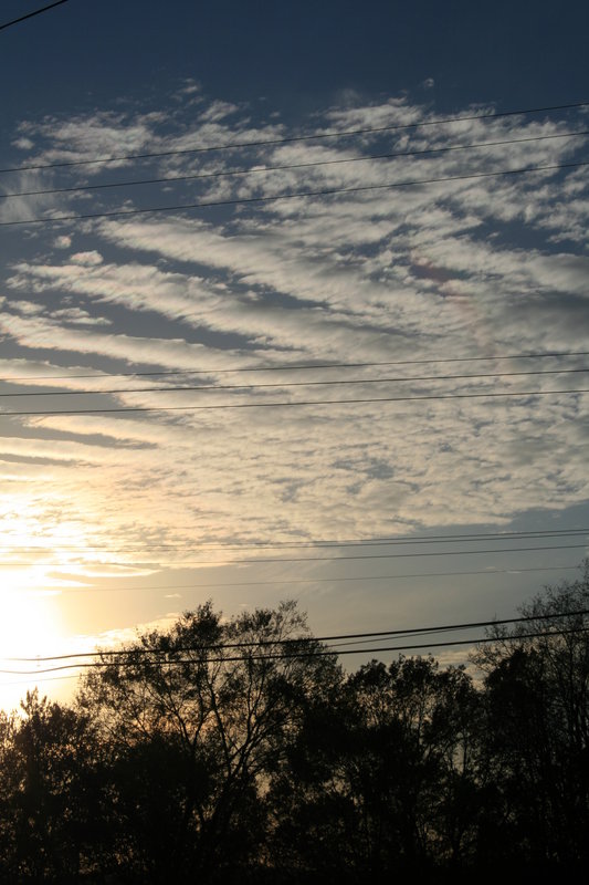 Landscape In Portrait 015.jpg