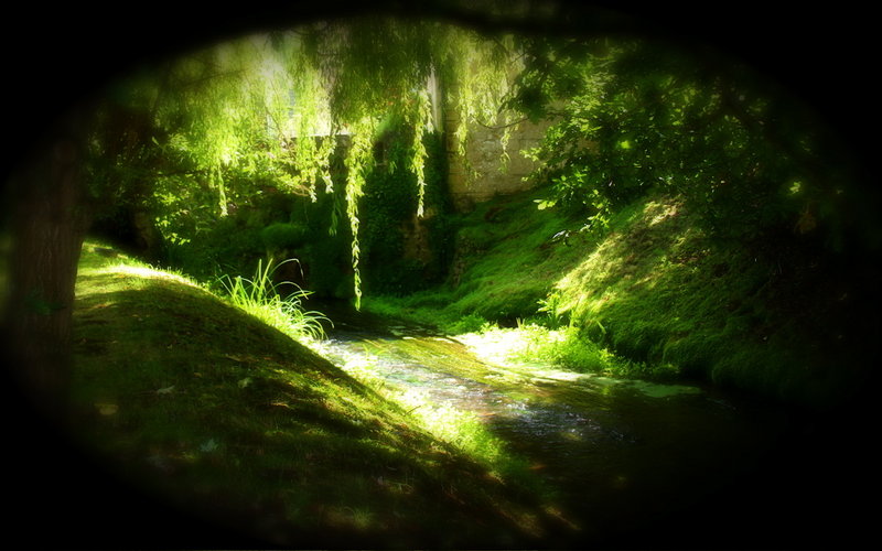 Something Magical?