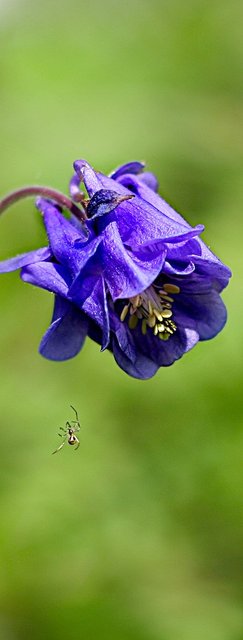 IMG_6982.jpg