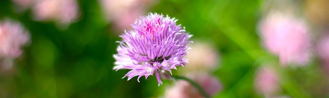IMG_7008 - Version 2.jpg