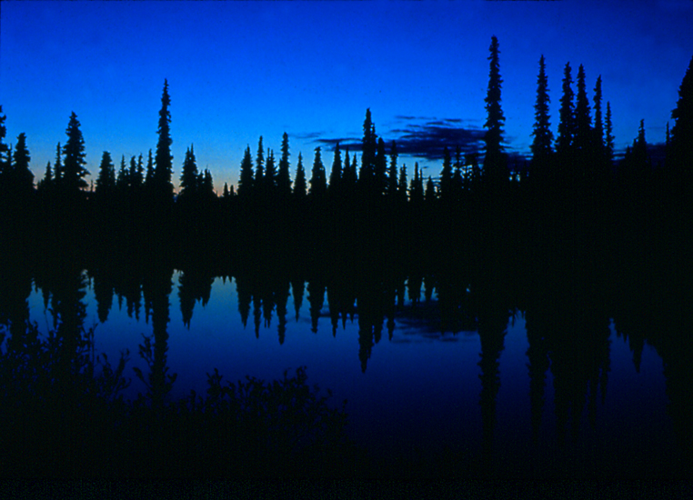 Dusk in Alaska