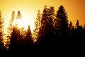 Sunrise in Yosemite