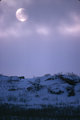 Snowy Sunset