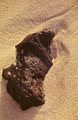 Rock in Sand