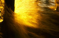 Wash