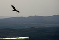 Freedom of Flight