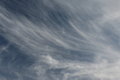 Cirrus Clouds