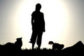 Companions