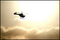 Sunset Chopper