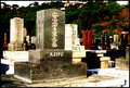 Among the Dead