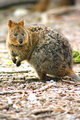 Australia 2007