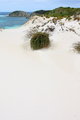 Australia 2007