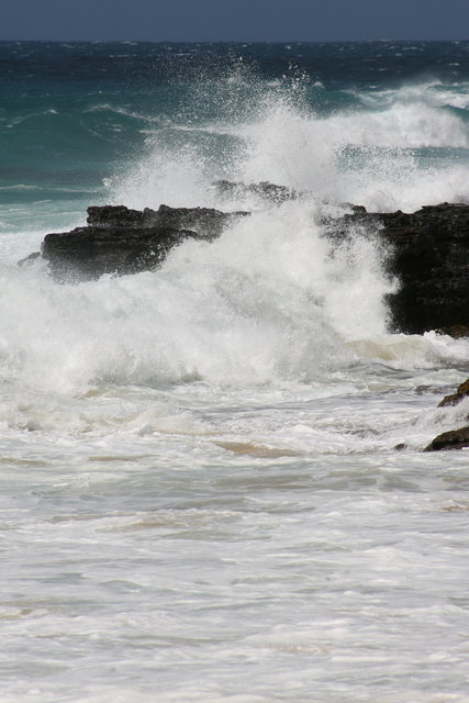 Sea VS Shore