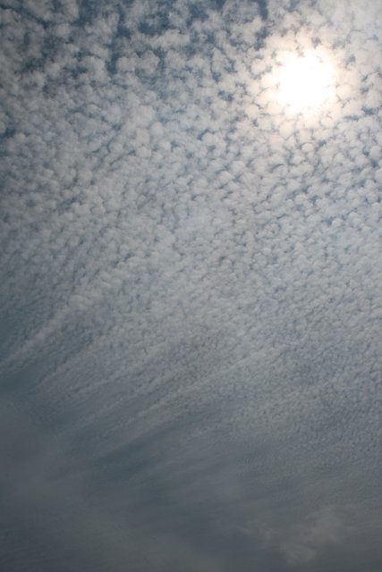 Tie-Dyed Sky