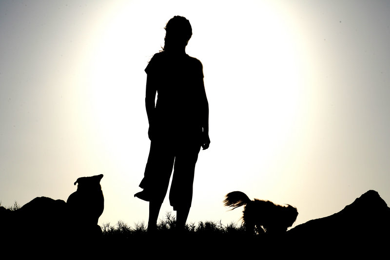 Companions