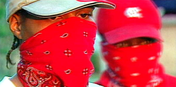 Gangs in the Heartland