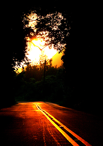 Sunlit Road