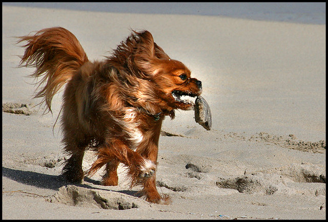 Nice Catch!! Sort of.