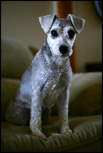 Uncle Bosco... all grown up.