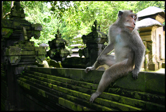 Bali 2008