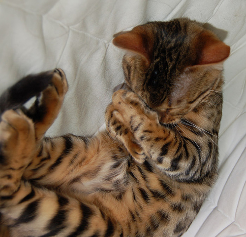 Day 14: Zzzzz