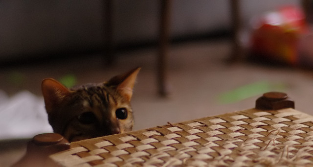 Day 17: Peeking