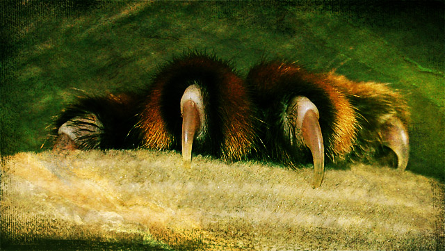 Variation on day 19