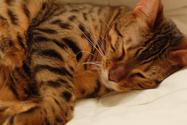 Day 23: Sleeping