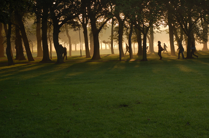 Early Morning Light Original