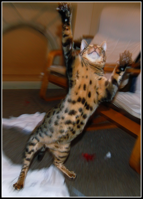 Day 30: Whee!!!