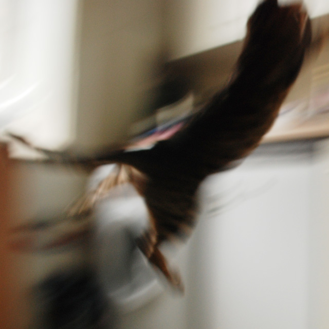 Jump!