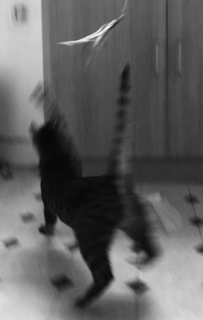 Narrow Escape