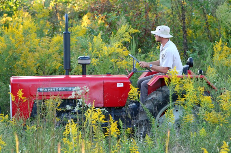 Farmer Brown