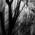 0577BW v1
