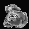 02800