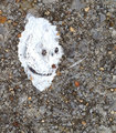 1483 Bird Poop on the Sidewalk