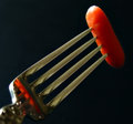 The Fork & Carrot