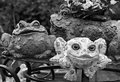 A Quorum of Toads
