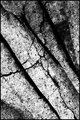 01373 -- Good Intentions