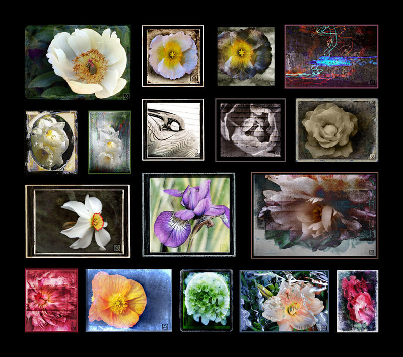 May Overlays