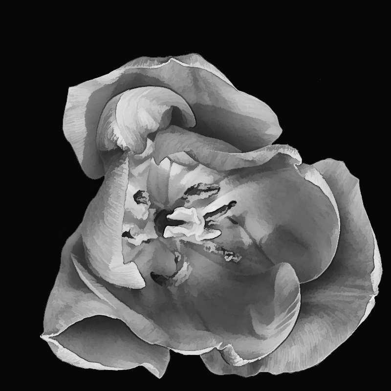 02800