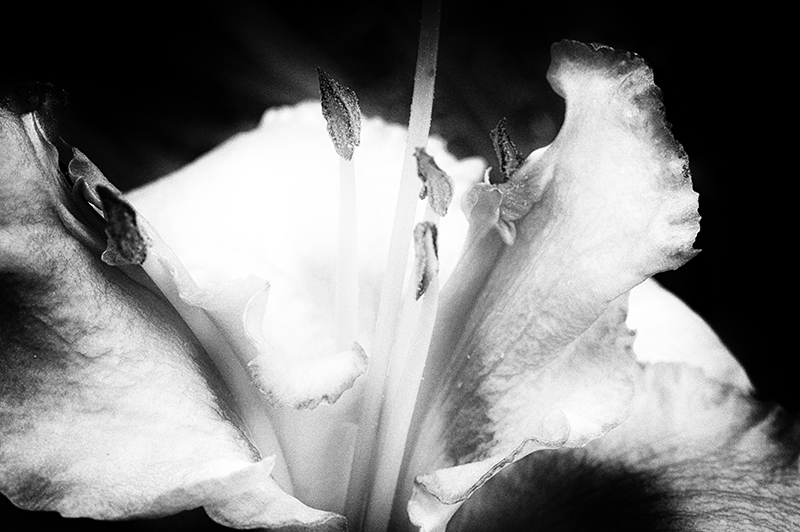 07506