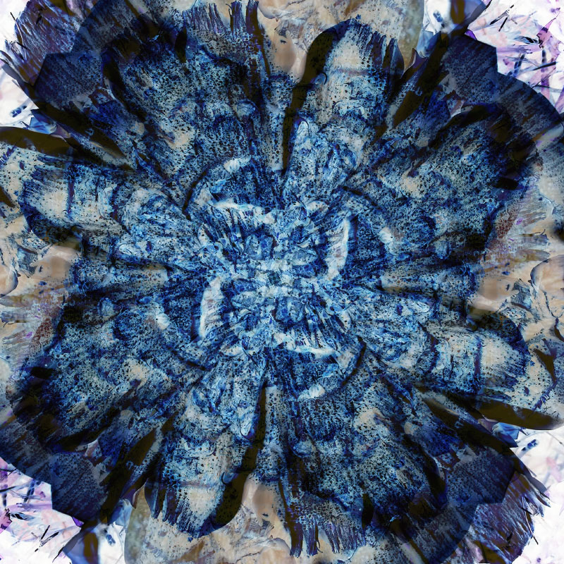 2119-4S #2