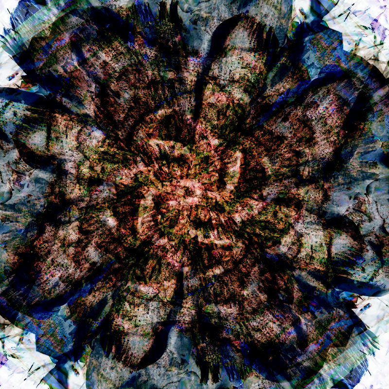 2119-4S Original #3
