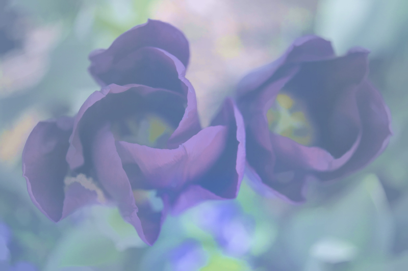 05194 Topaz ReStyle/Nature