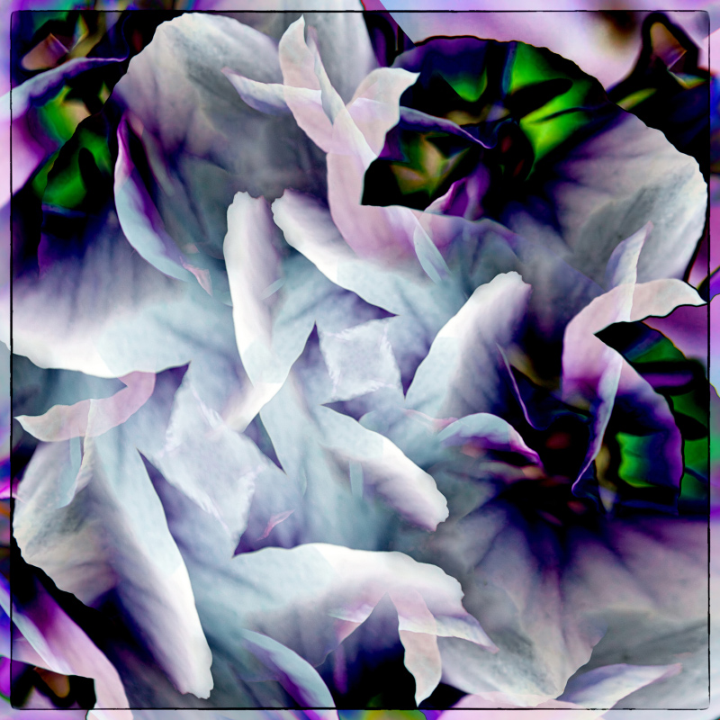 00409