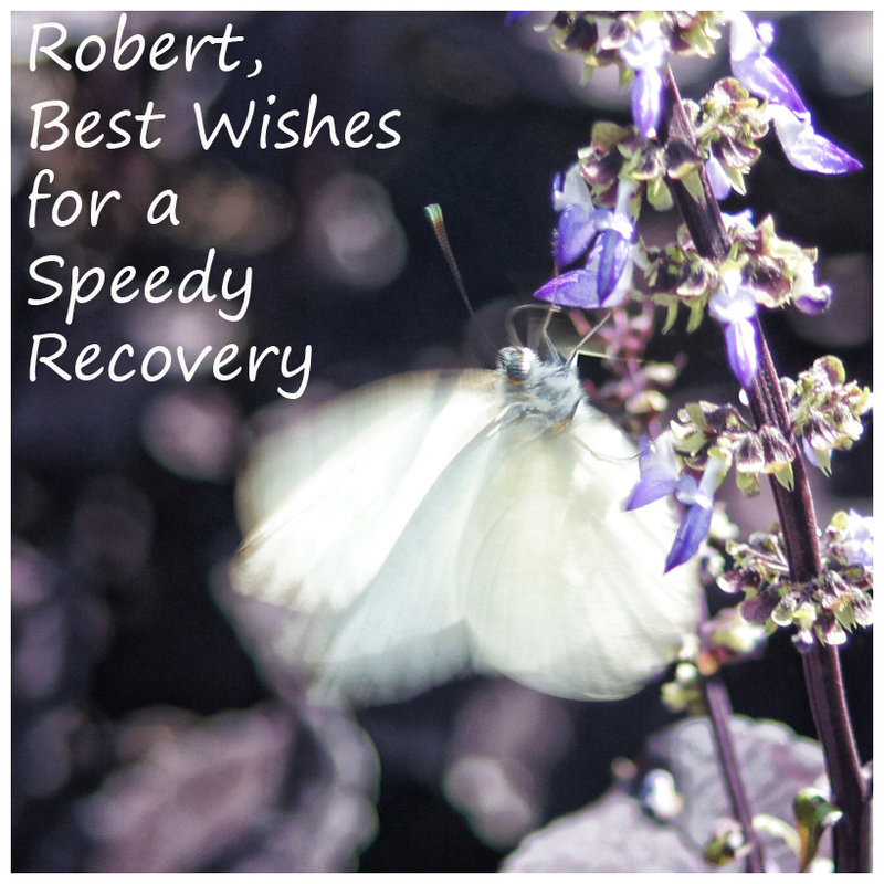 Hola Robert