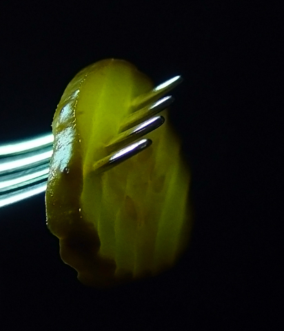 Pickle