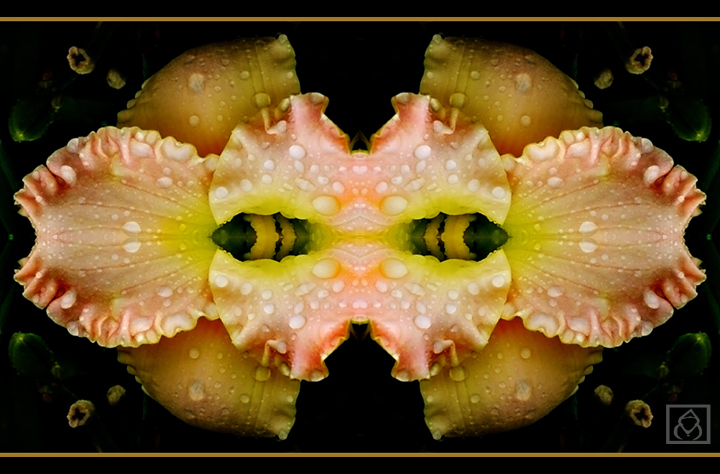 Visible Dessert